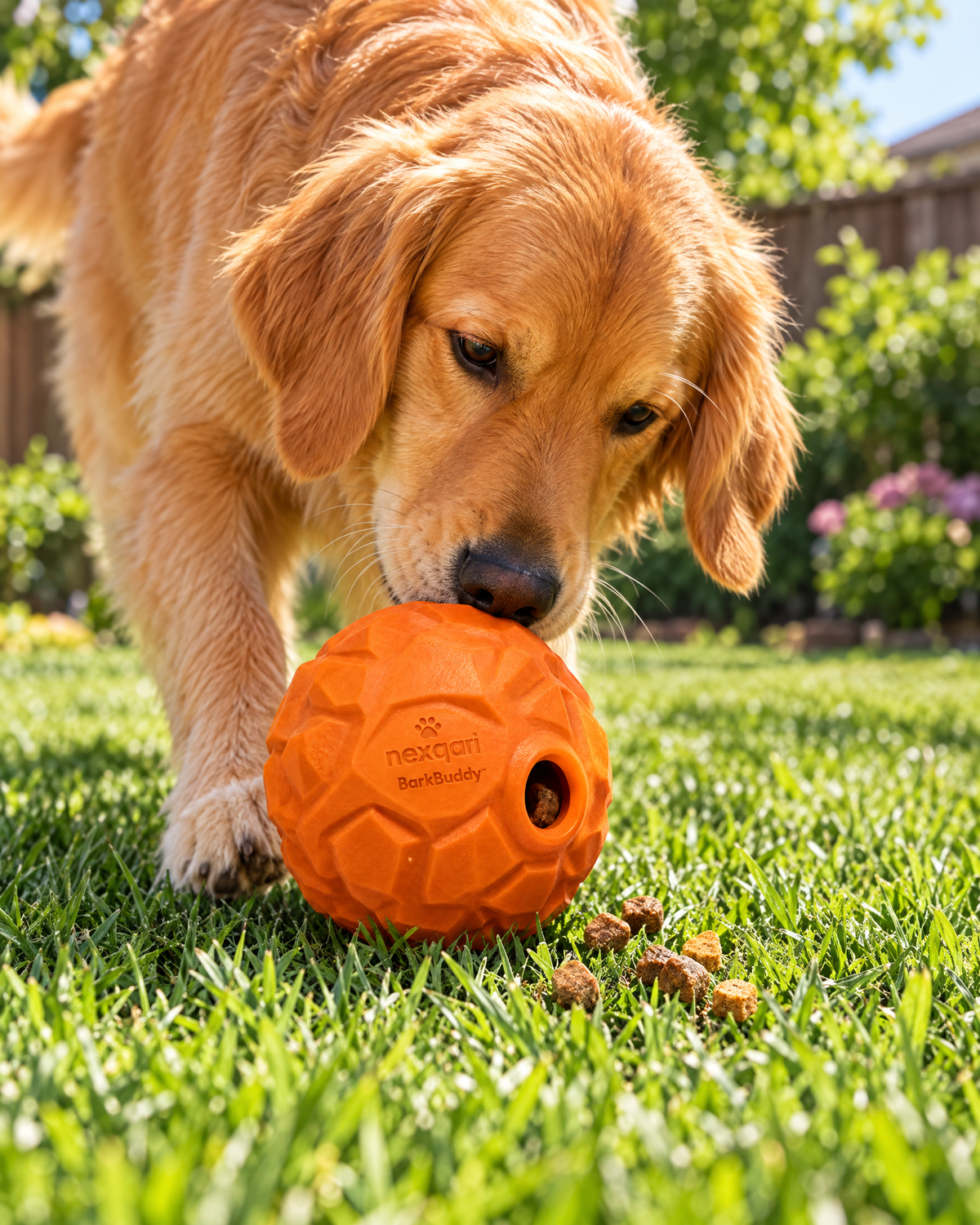 Nexqari™ BarkBuddy Interactive Treat Dispensing Dog Toy